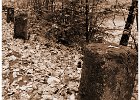 Patnik