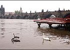 38193215 zplava1 300  Praha zaplavy